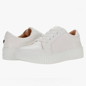 Steve Madden White Perforated Leather Sneaker Size 8